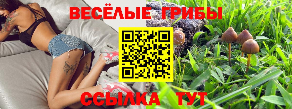 Галлюциногенные грибы GOLDEN TEACHER Курчатов