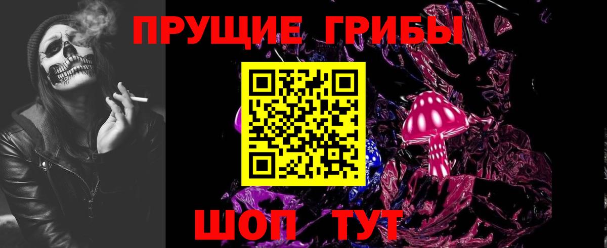 Псилоцибиновые грибы мухоморы  купить наркотик  Вход с VPN  Курчатов  Галлюциногенные грибы мицелий 